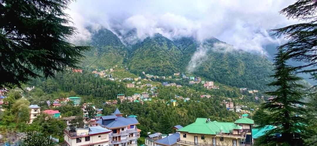 Oasis Guest House Bhagsu D'Shala Dharamshala Bagian luar foto