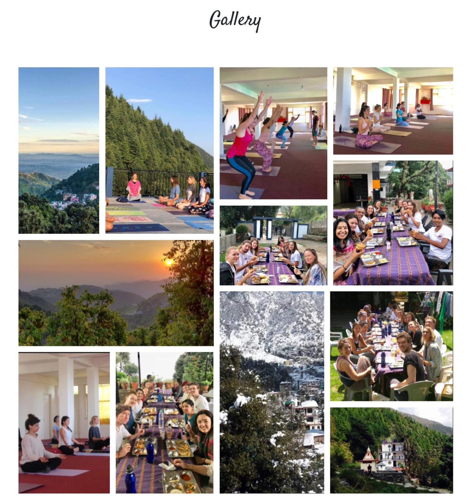Oasis Guest House Bhagsu D'Shala Dharamshala Bagian luar foto