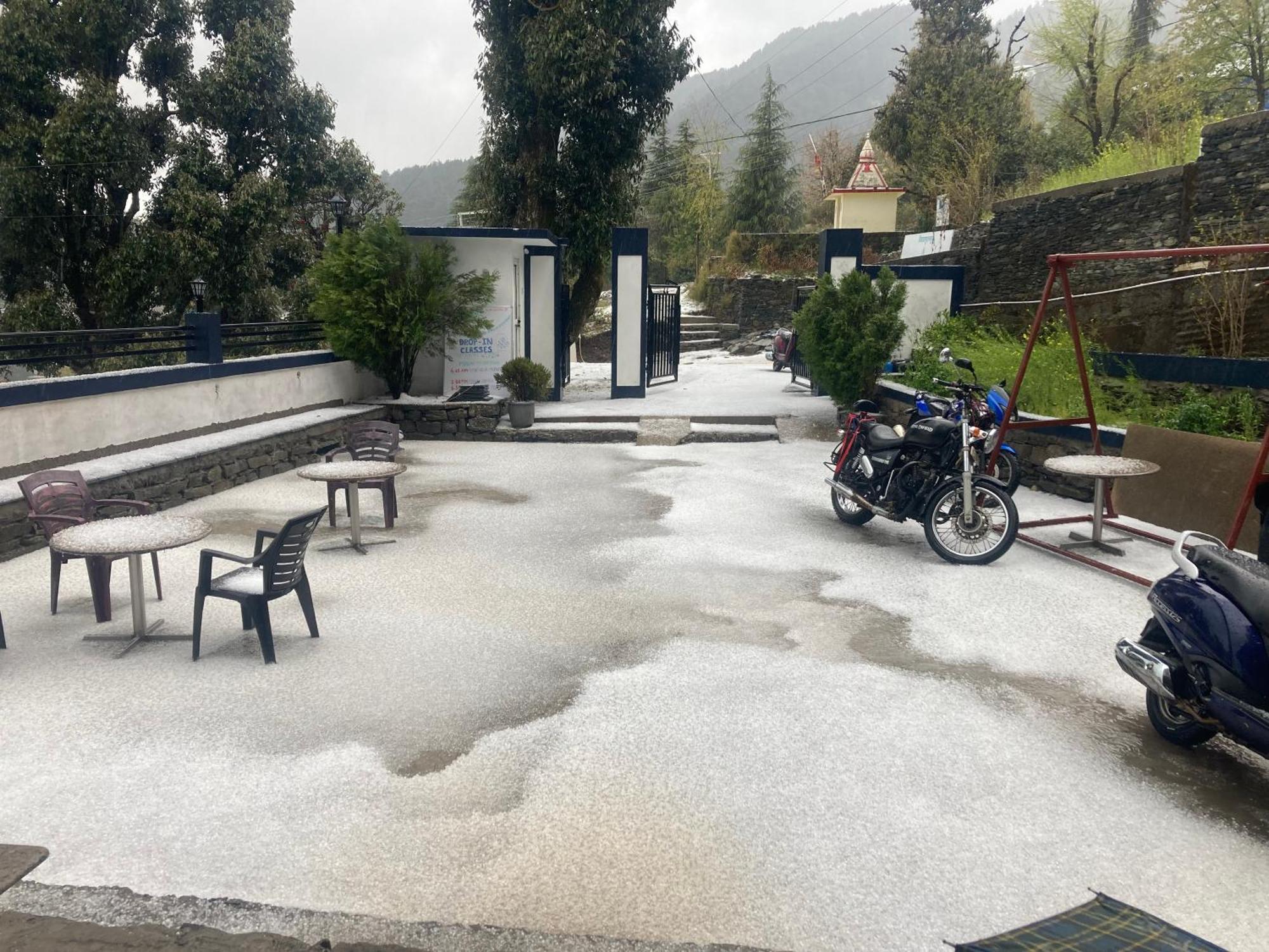 Oasis Guest House Bhagsu D'Shala Dharamshala Bagian luar foto