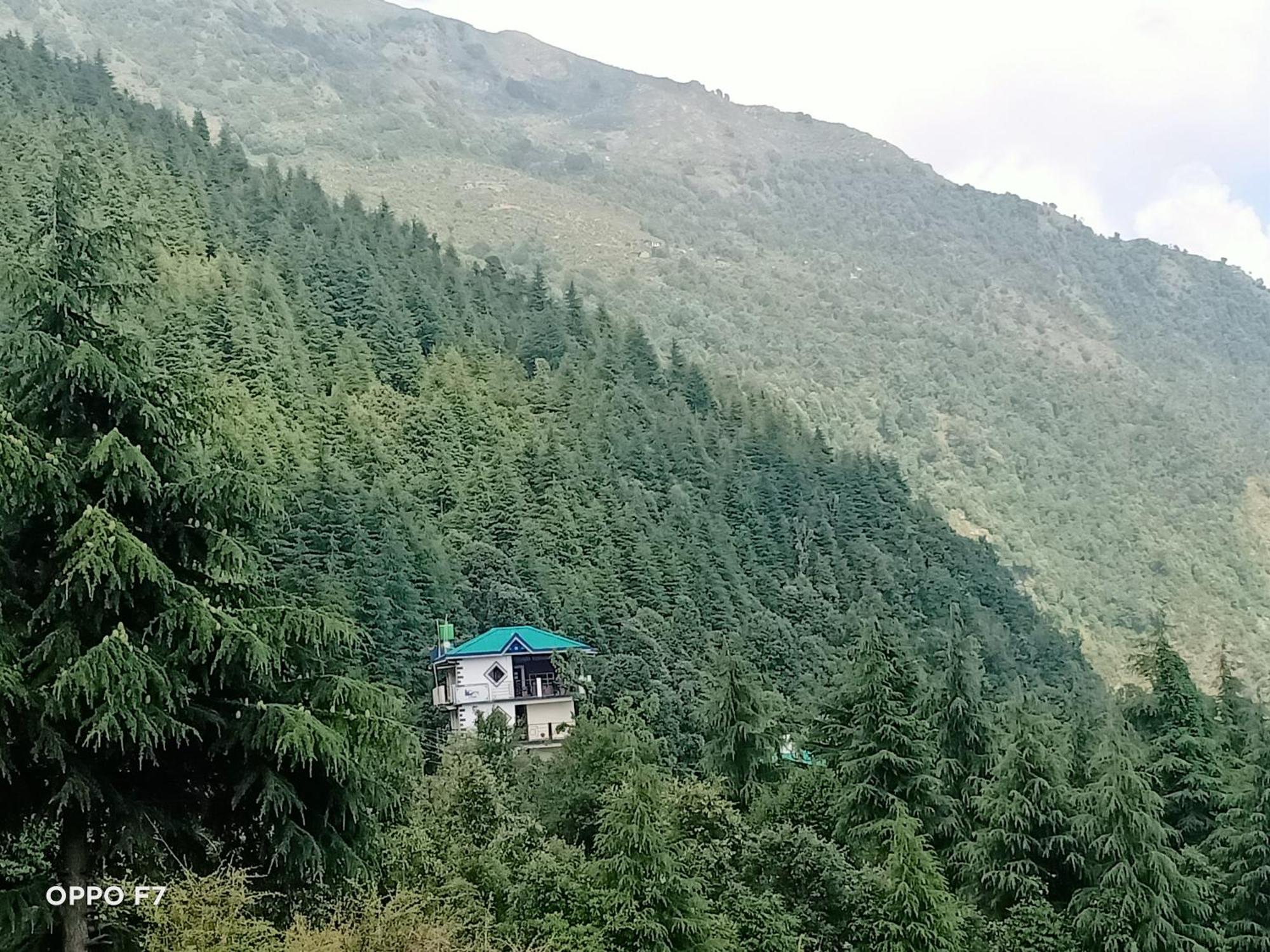Oasis Guest House Bhagsu D'Shala Dharamshala Bagian luar foto
